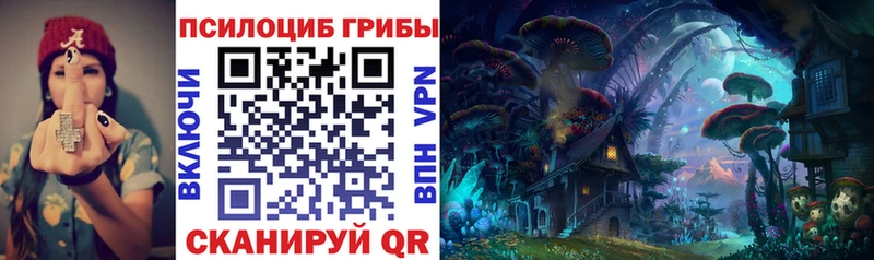 Псилоцибиновые грибы мицелий  нарко площадка телеграм  Дубовка  купить  
